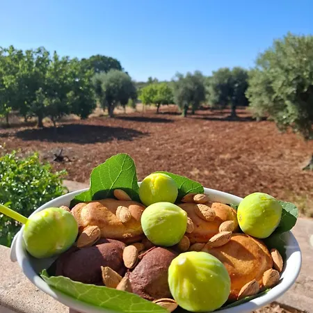 Daisy Conversano-polignano A Mare 4*