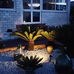 Bed & Breakfast Daisy Conversano-polignano A Mare Conversano