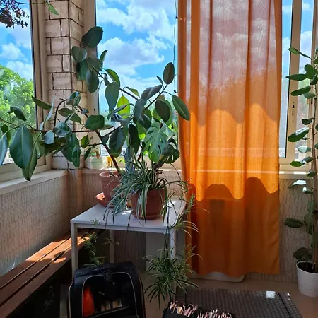 Bed & Breakfast Daisy - Polignano A Mare